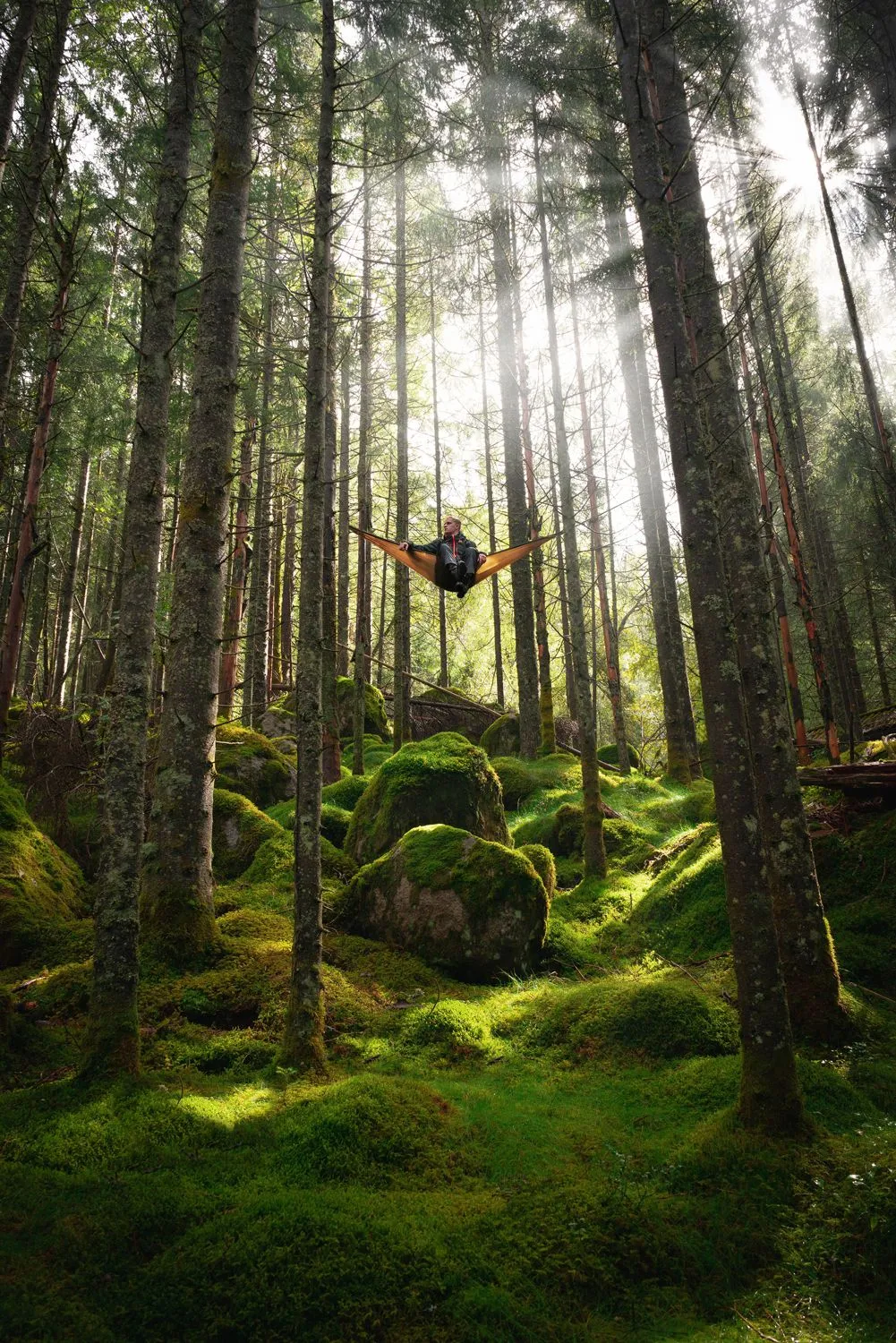 Hammock Adventure Ultralight - coyote